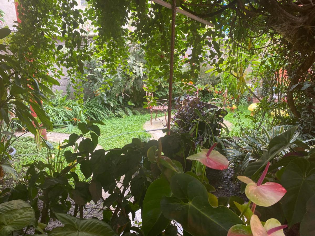 Flor De Cera Hotell Tepoztlán Eksteriør bilde